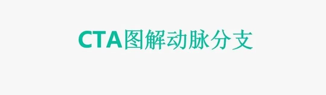 影像PPT - 【PPT】头颈血管解剖与分段—CTA重组图像示例-7