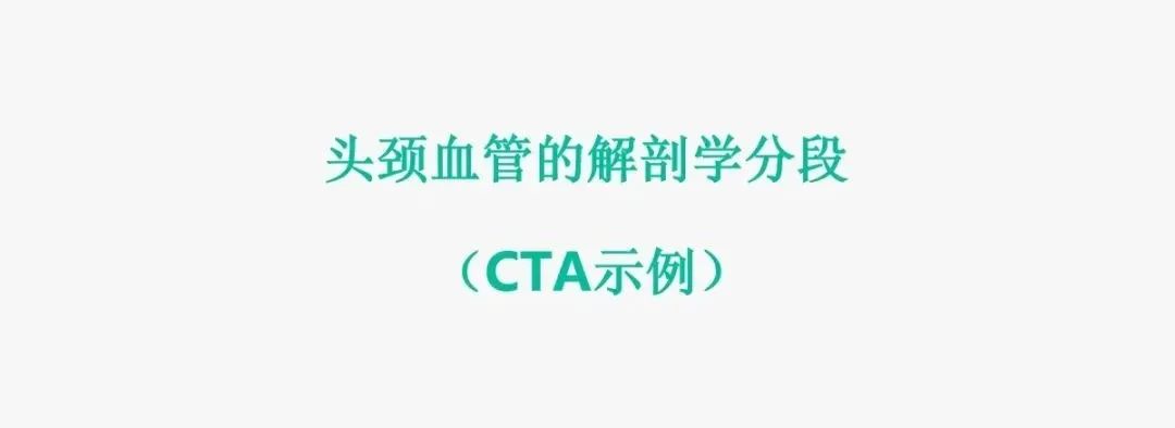 影像PPT - 【PPT】头颈血管解剖与分段—CTA重组图像示例-13