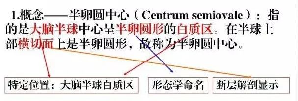 影像PPT - 放射冠与半卵圆中心的区别-1 影像PPT - 放射冠与半卵圆中心的区别-1