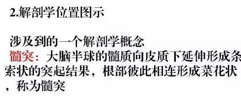 影像PPT - 放射冠与半卵圆中心的区别-3 影像PPT - 放射冠与半卵圆中心的区别-3