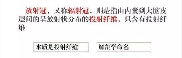 影像PPT - 放射冠与半卵圆中心的区别-4 影像PPT - 放射冠与半卵圆中心的区别-4