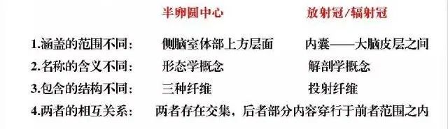 影像PPT - 放射冠与半卵圆中心的区别-10 影像PPT - 放射冠与半卵圆中心的区别-10