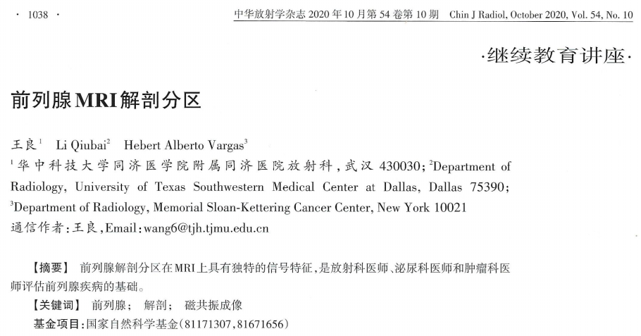 影像PPT - 前列腺MRI解剖分区-1 影像PPT - 前列腺MRI解剖分区-1
