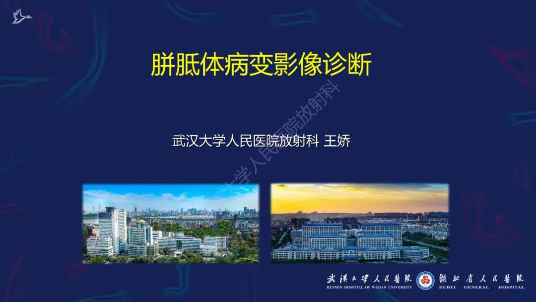 影像PPT - 【PPT】胼胝体病变影像诊断-1