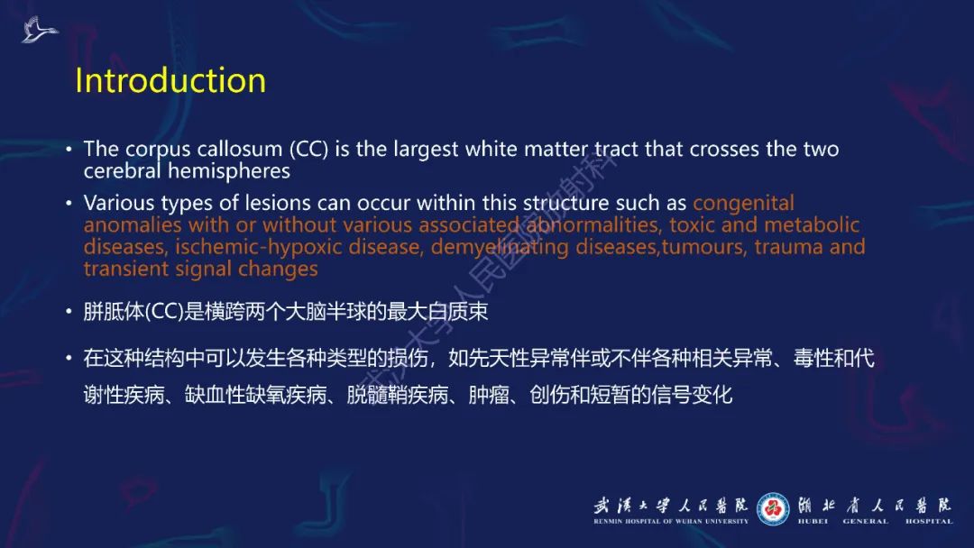 影像PPT - 【PPT】胼胝体病变影像诊断-2