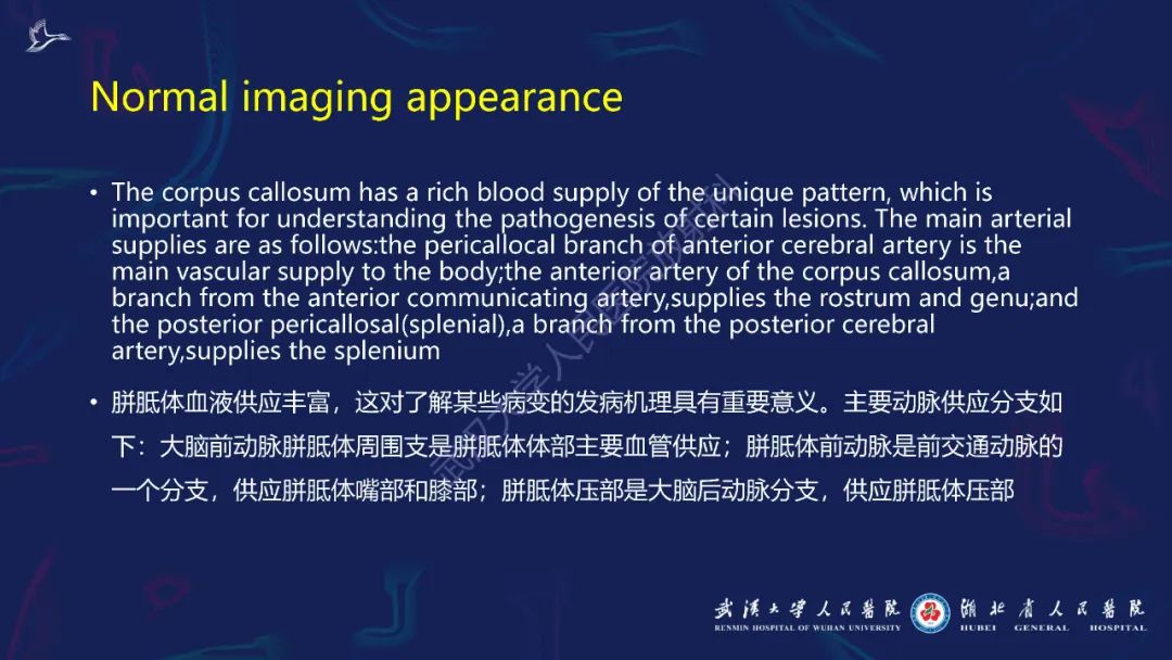 影像PPT - 【PPT】胼胝体病变影像诊断-4