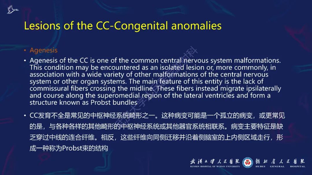 影像PPT - 【PPT】胼胝体病变影像诊断-6