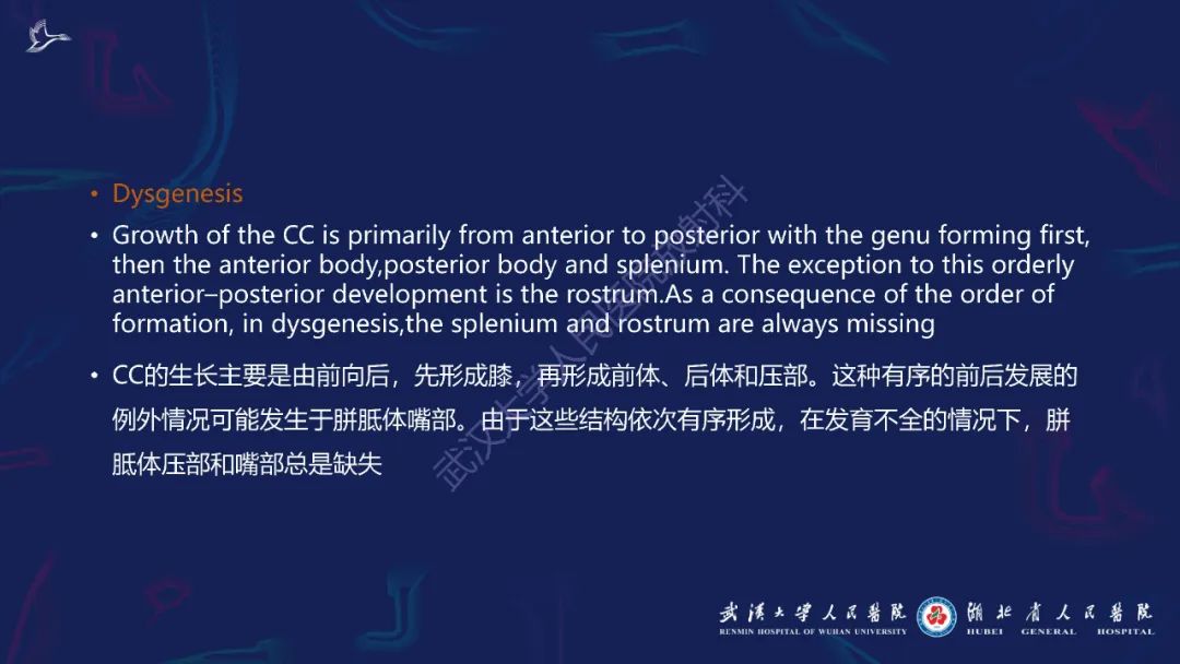 影像PPT - 【PPT】胼胝体病变影像诊断-8