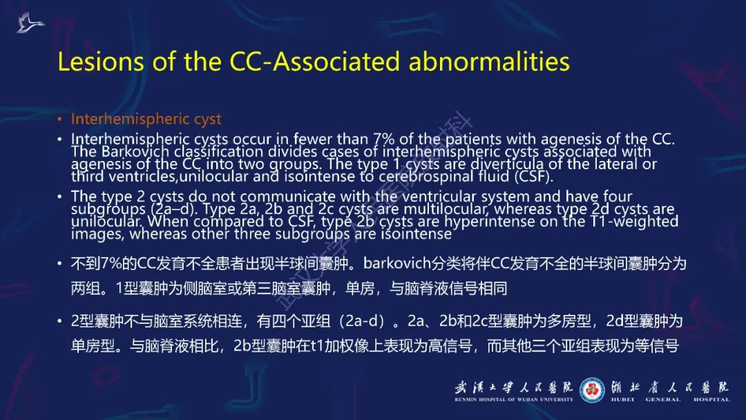 影像PPT - 【PPT】胼胝体病变影像诊断-10