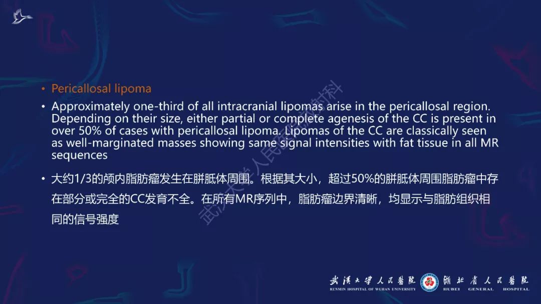 影像PPT - 【PPT】胼胝体病变影像诊断-13