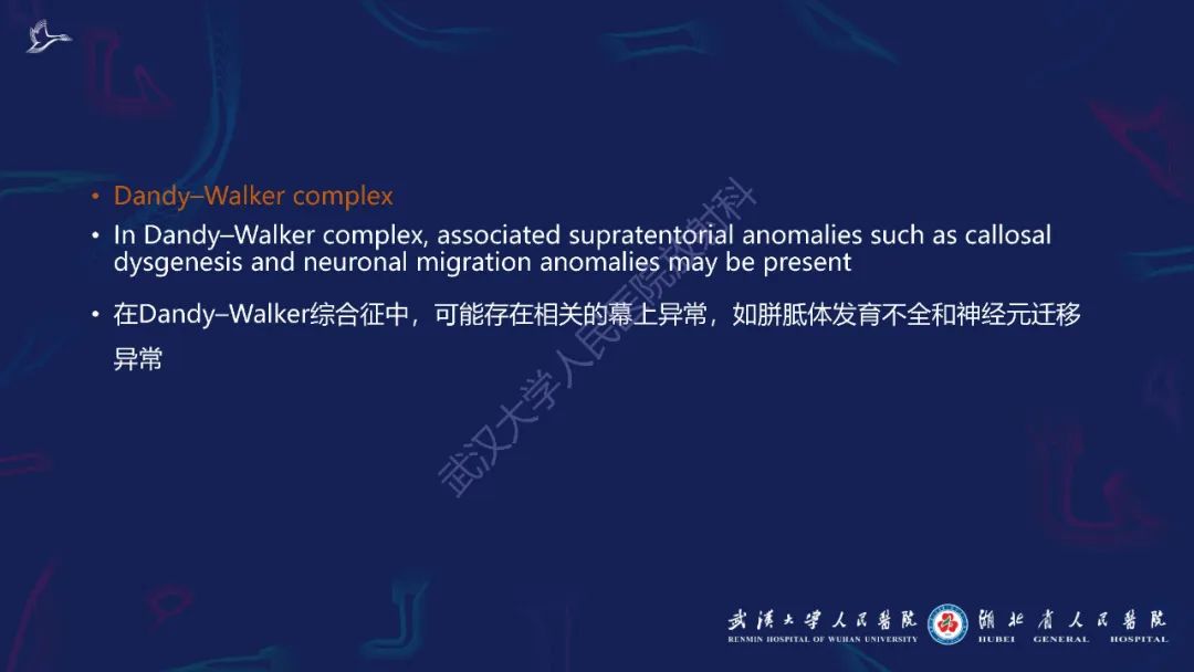 影像PPT - 【PPT】胼胝体病变影像诊断-15