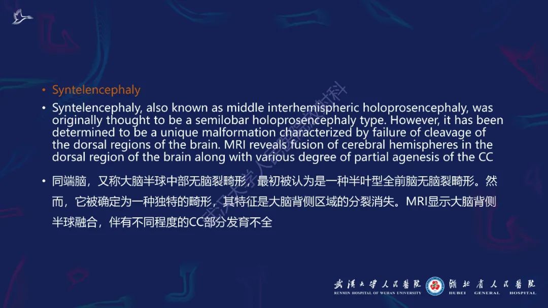 影像PPT - 【PPT】胼胝体病变影像诊断-16