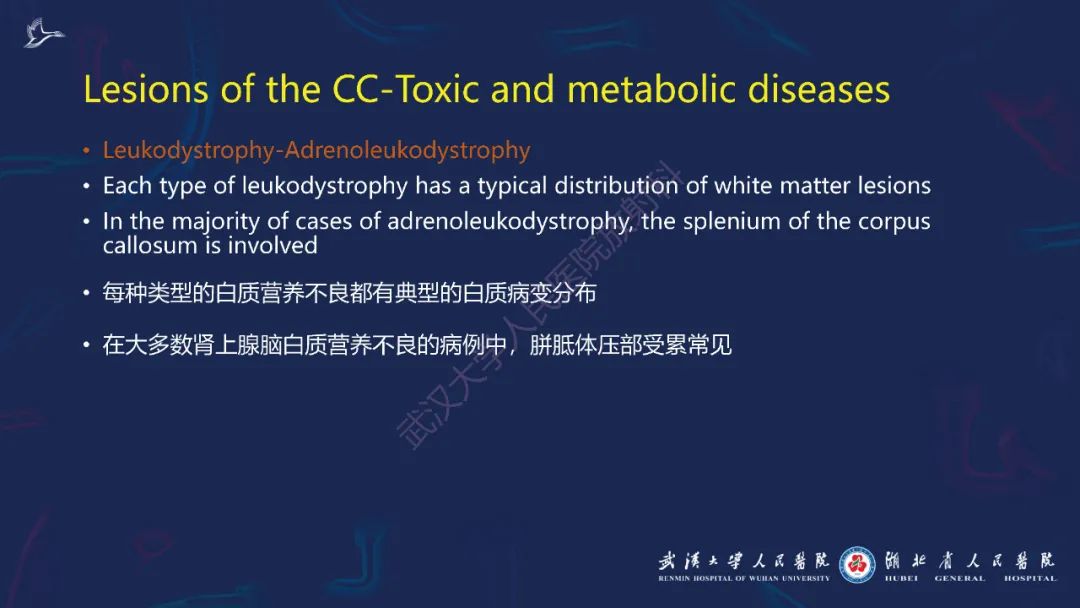影像PPT - 【PPT】胼胝体病变影像诊断-18