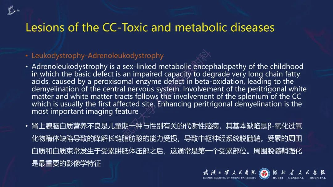 影像PPT - 【PPT】胼胝体病变影像诊断-19