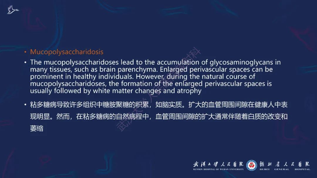 影像PPT - 【PPT】胼胝体病变影像诊断-22
