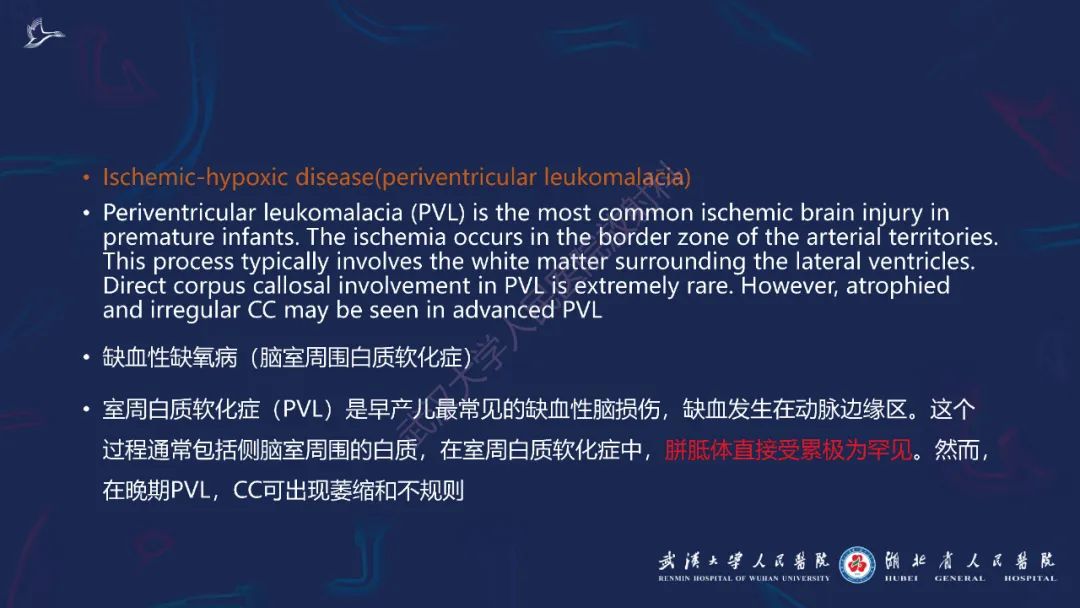 影像PPT - 【PPT】胼胝体病变影像诊断-24