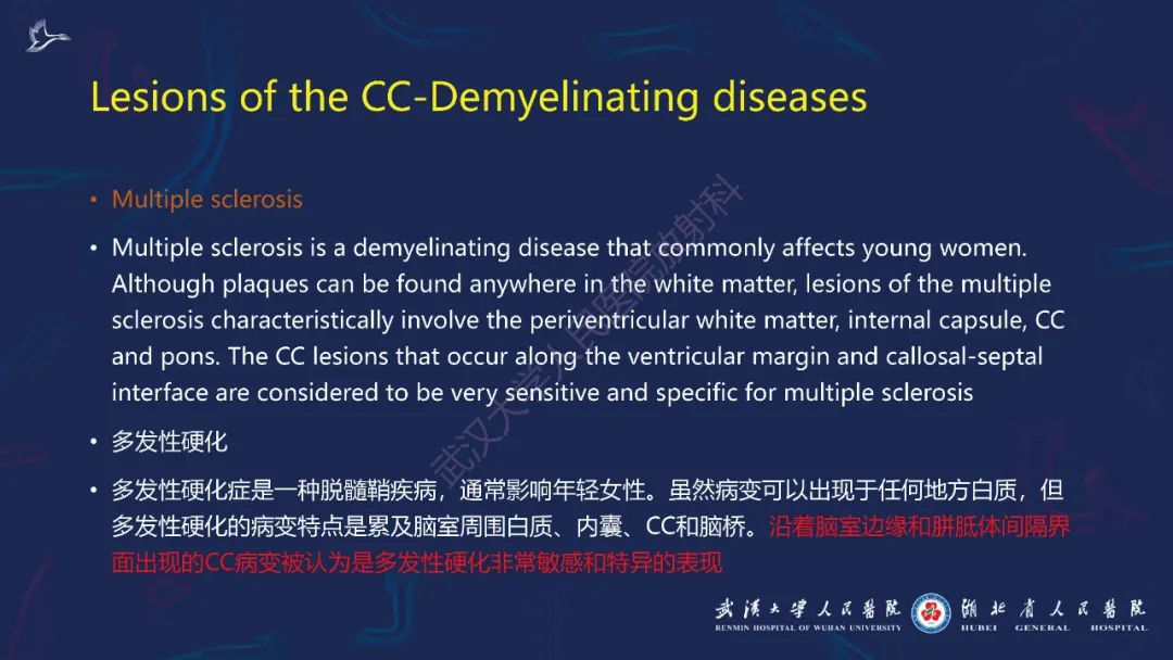 影像PPT - 【PPT】胼胝体病变影像诊断-26