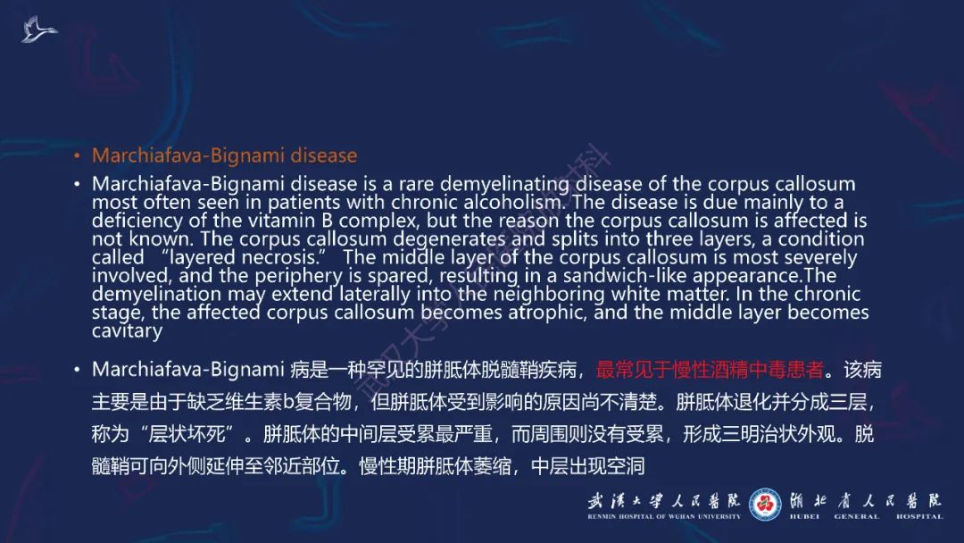 影像PPT - 【PPT】胼胝体病变影像诊断-30