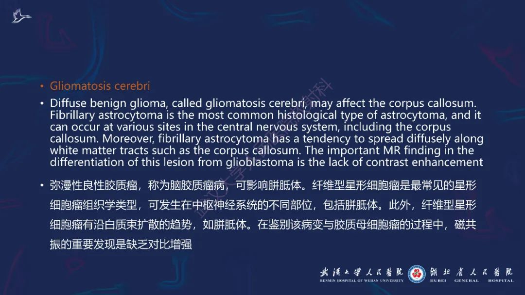 影像PPT - 【PPT】胼胝体病变影像诊断-34