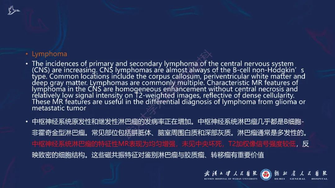 影像PPT - 【PPT】胼胝体病变影像诊断-36
