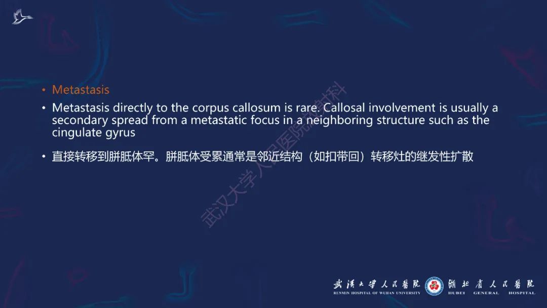 影像PPT - 【PPT】胼胝体病变影像诊断-38