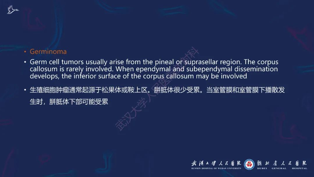 影像PPT - 【PPT】胼胝体病变影像诊断-40