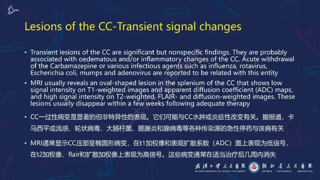影像PPT - 【PPT】胼胝体病变影像诊断-43