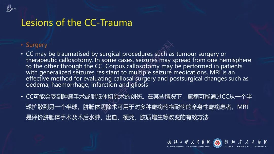 影像PPT - 【PPT】胼胝体病变影像诊断-45