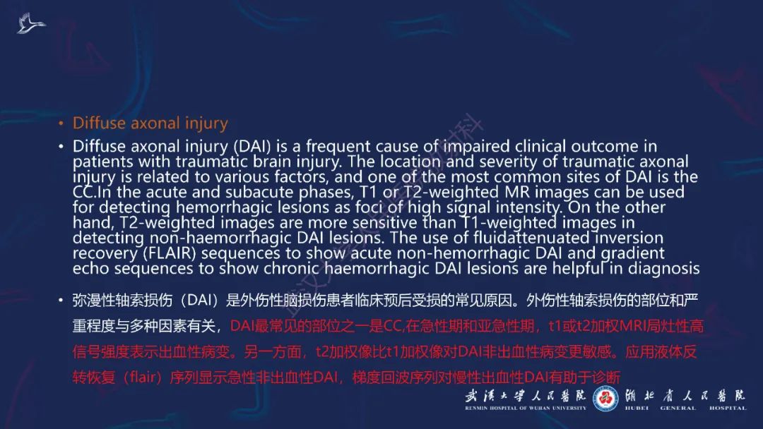 影像PPT - 【PPT】胼胝体病变影像诊断-46