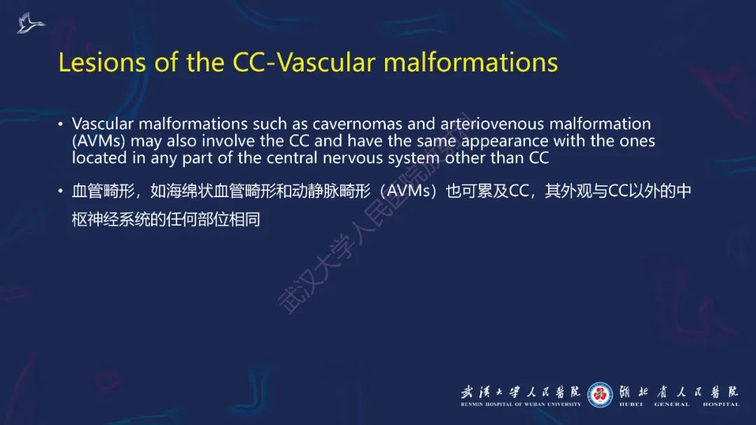 影像PPT - 【PPT】胼胝体病变影像诊断-48