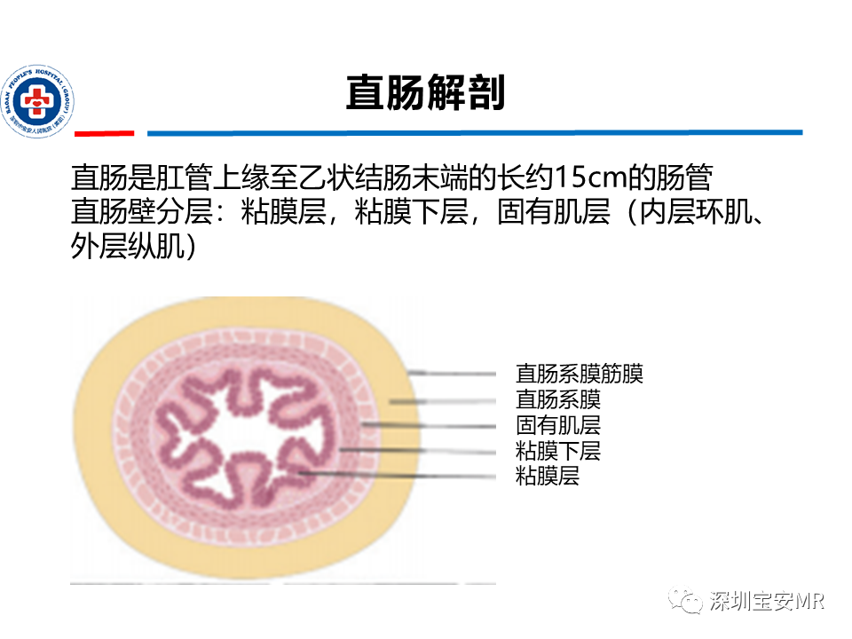 影像PPT - 【PPT】直肠癌MRI影像评估-2