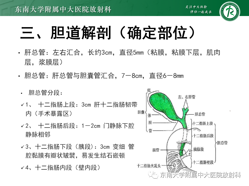 影像PPT - 【PPT】恶性胆道梗阻疾病影像诊断思路-10