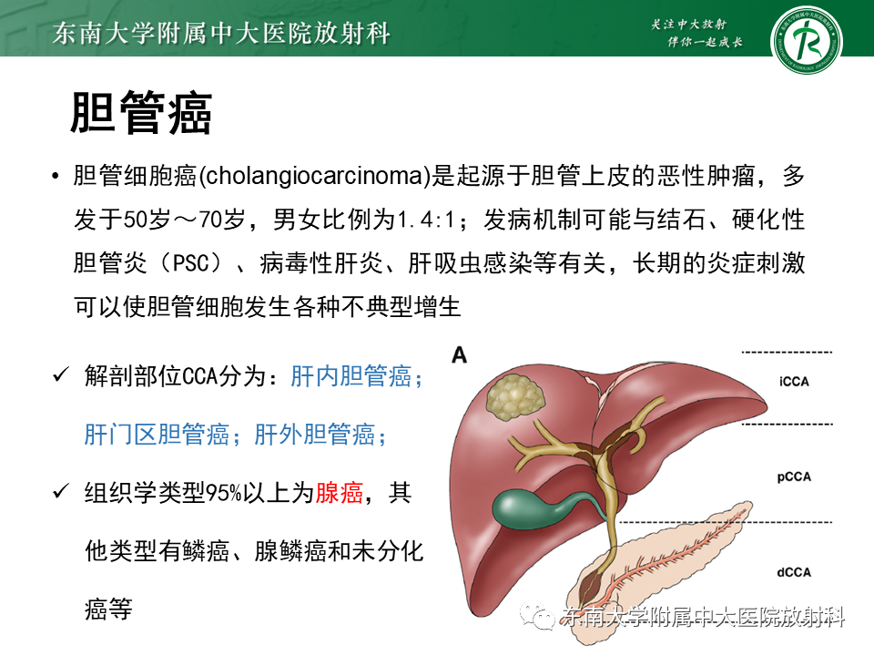 影像PPT - 【PPT】恶性胆道梗阻疾病影像诊断思路-15