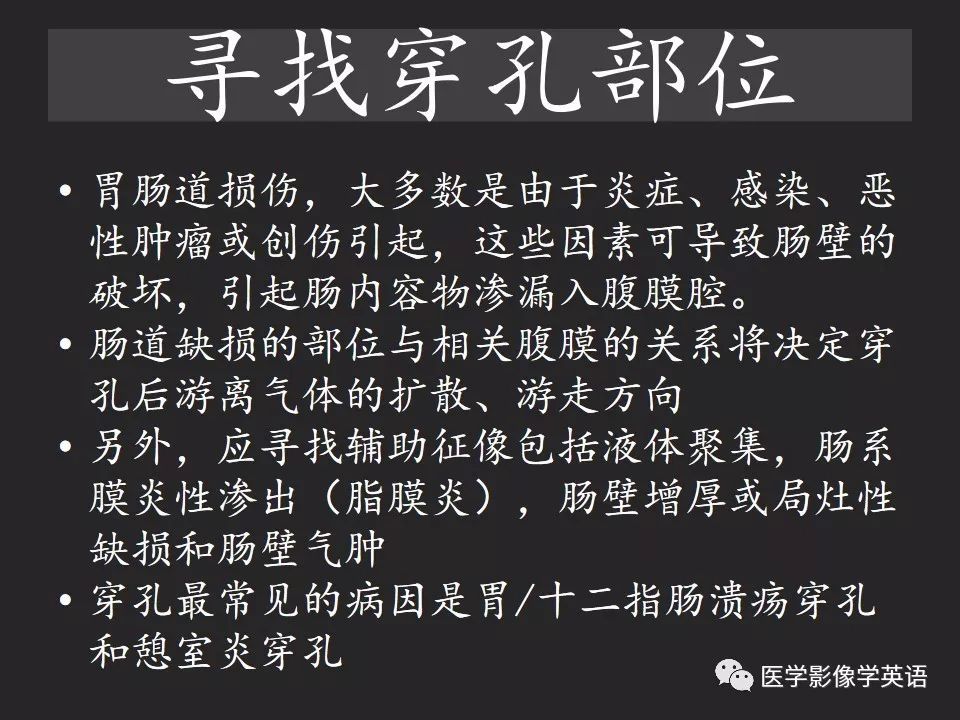 影像PPT - 【PPT】腹腔游离气体:从哪里来?如何应用腹膜解剖确定穿孔部位-12 影像PPT - 【PPT】腹腔游离气体:从哪里来?如何应用腹膜解剖确定穿孔部位-12