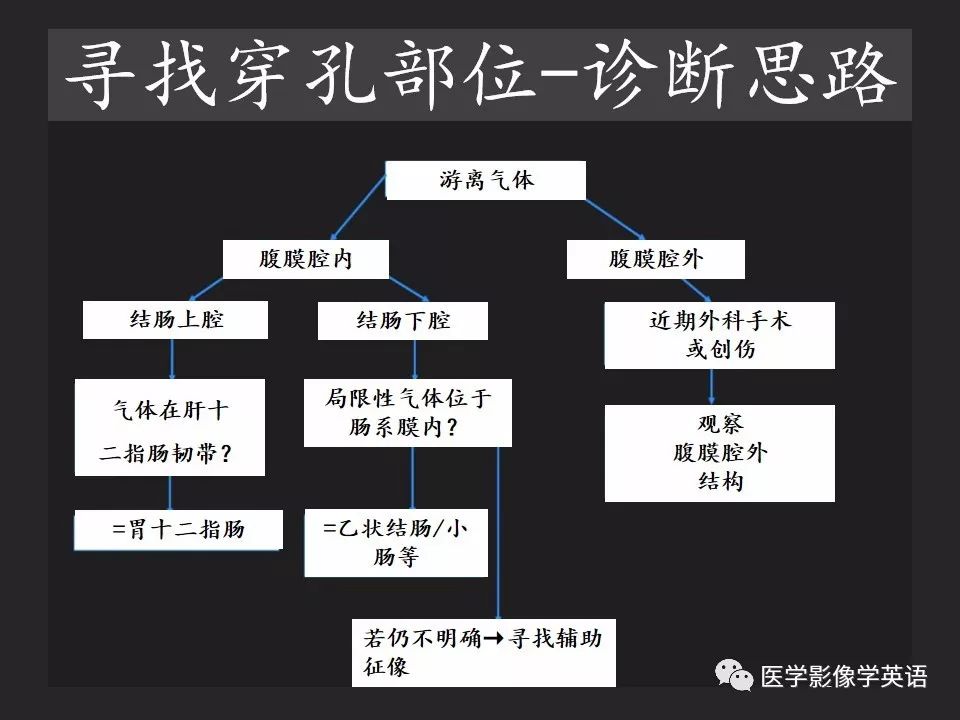 影像PPT - 【PPT】腹腔游离气体:从哪里来?如何应用腹膜解剖确定穿孔部位-13 影像PPT - 【PPT】腹腔游离气体:从哪里来?如何应用腹膜解剖确定穿孔部位-13
