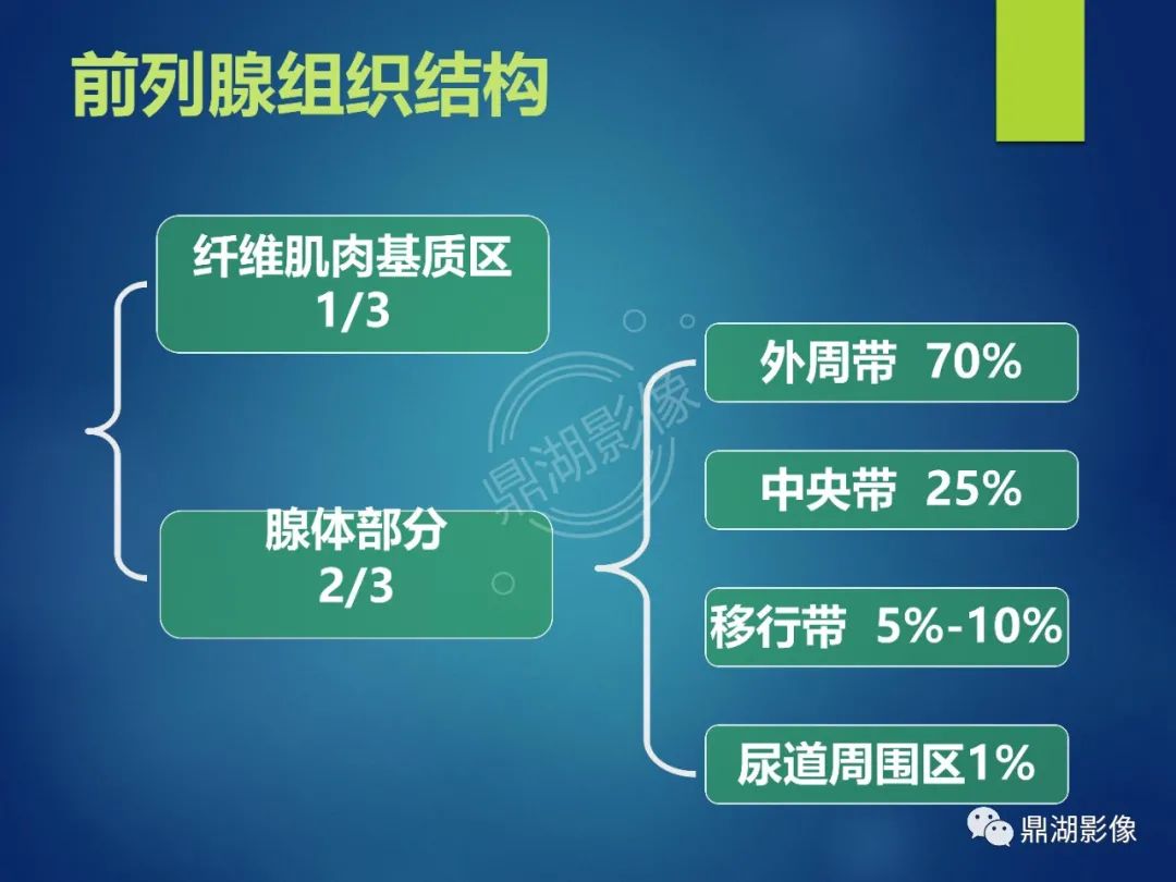 影像PPT - 【PPT】前列腺癌的磁共振成像诊断-3