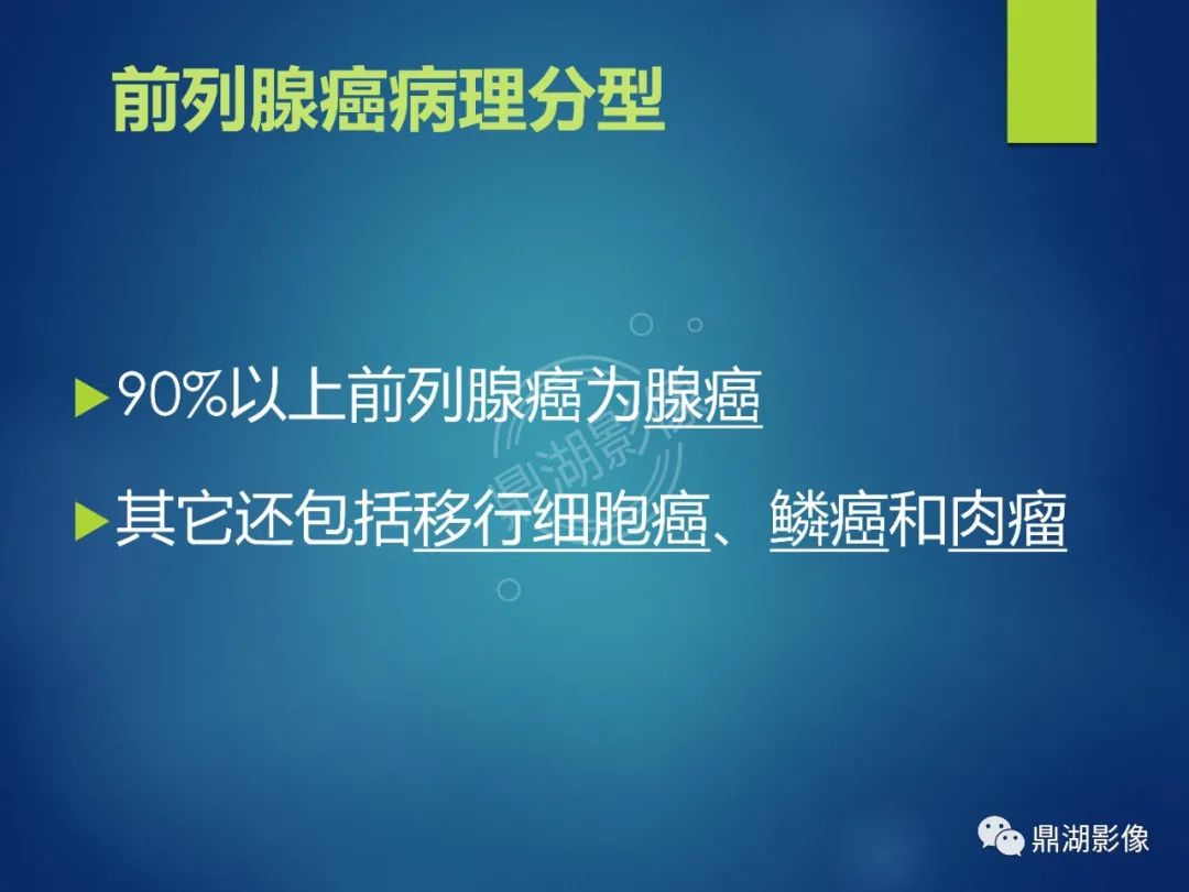 影像PPT - 【PPT】前列腺癌的磁共振成像诊断-13