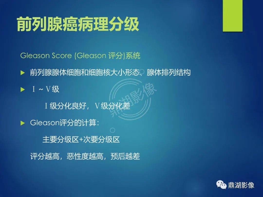 影像PPT - 【PPT】前列腺癌的磁共振成像诊断-14
