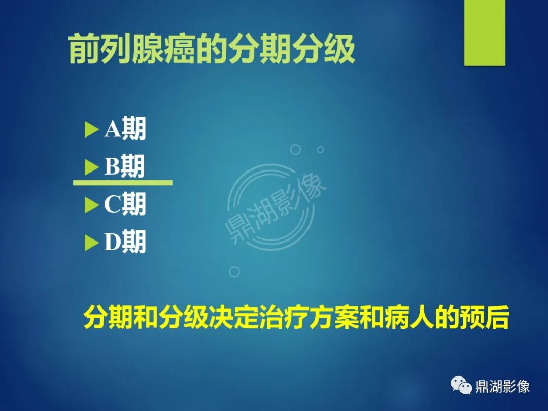 影像PPT - 【PPT】前列腺癌的磁共振成像诊断-16