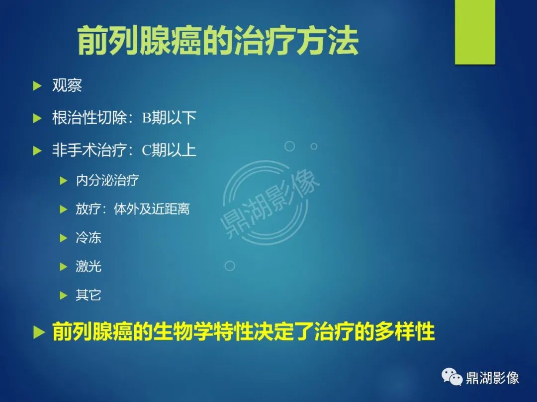 影像PPT - 【PPT】前列腺癌的磁共振成像诊断-17