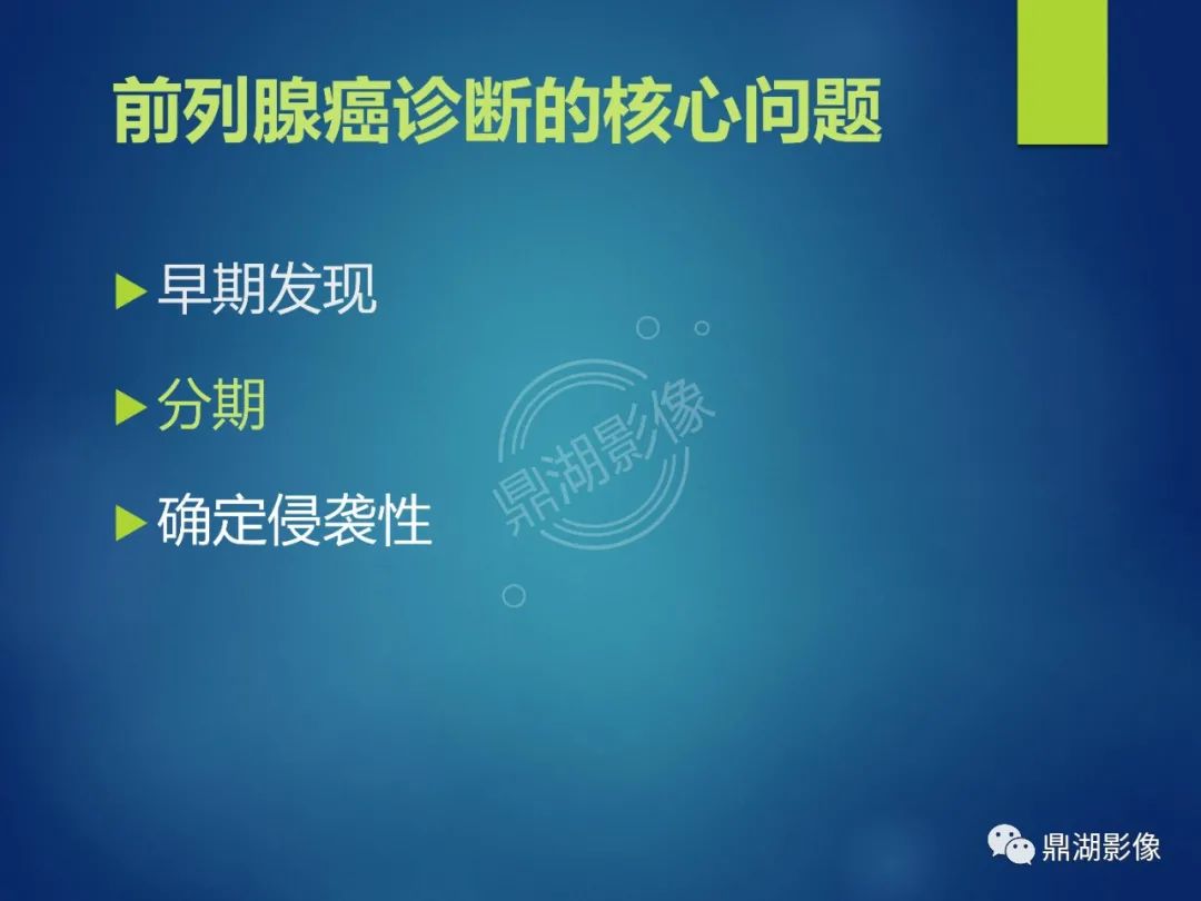 影像PPT - 【PPT】前列腺癌的磁共振成像诊断-18