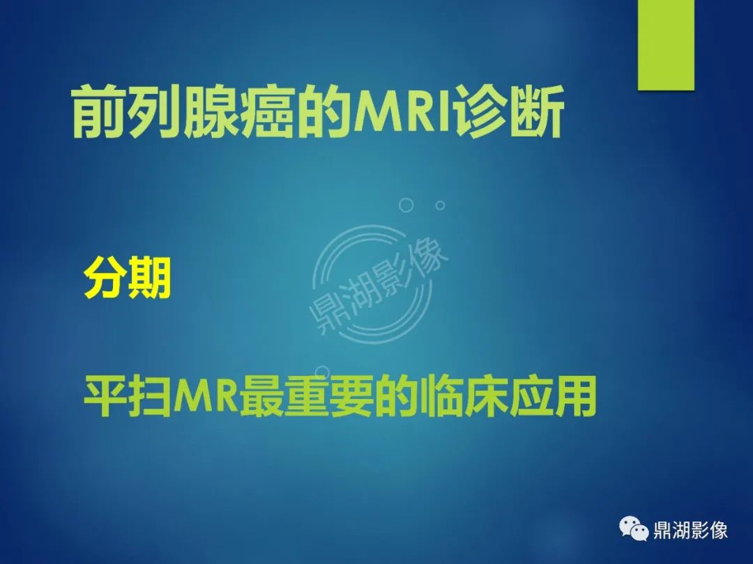 影像PPT - 【PPT】前列腺癌的磁共振成像诊断-19