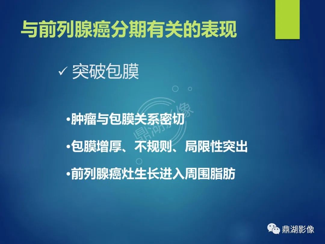 影像PPT - 【PPT】前列腺癌的磁共振成像诊断-27