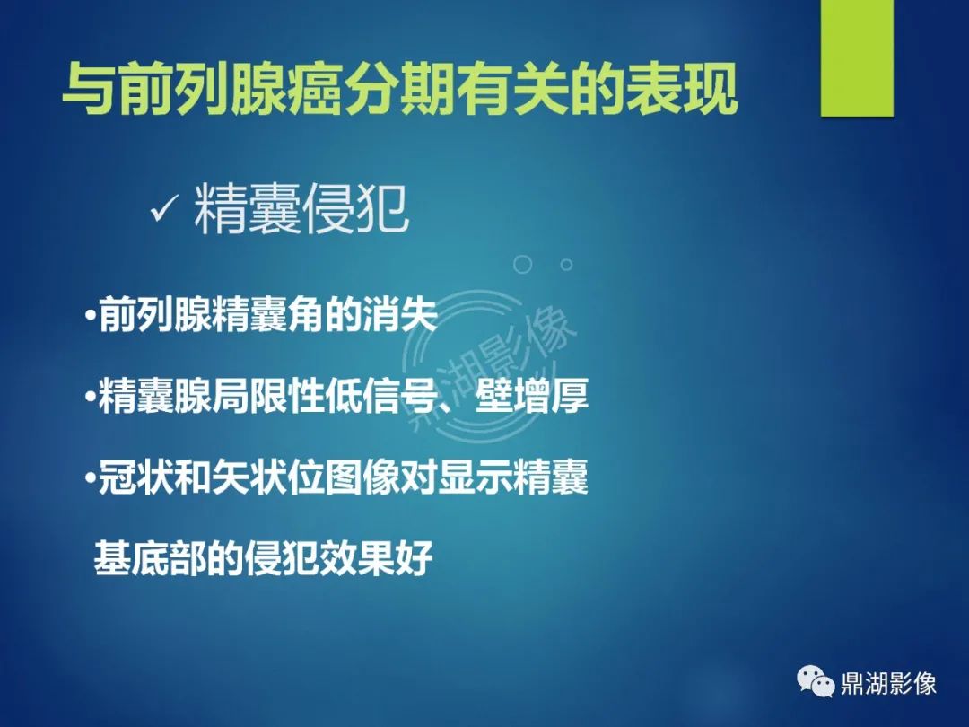 影像PPT - 【PPT】前列腺癌的磁共振成像诊断-32