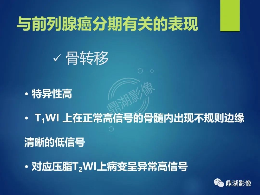 影像PPT - 【PPT】前列腺癌的磁共振成像诊断-41