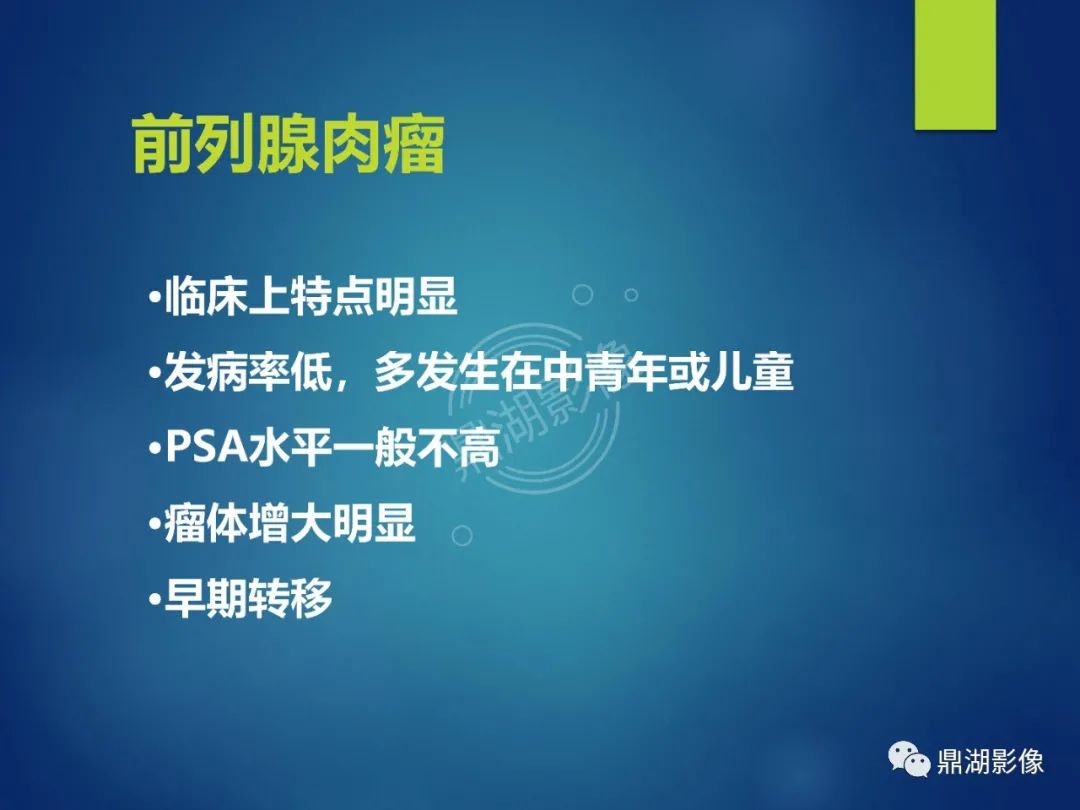 影像PPT - 【PPT】前列腺癌的磁共振成像诊断-51