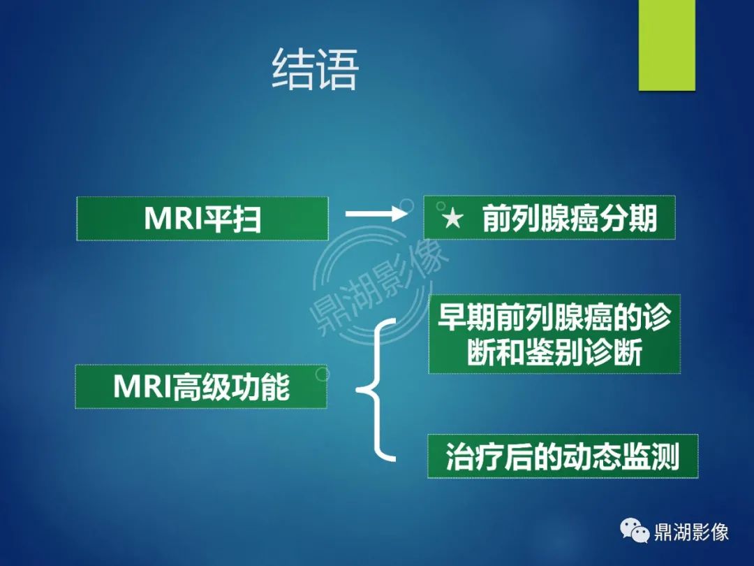 影像PPT - 【PPT】前列腺癌的磁共振成像诊断-81