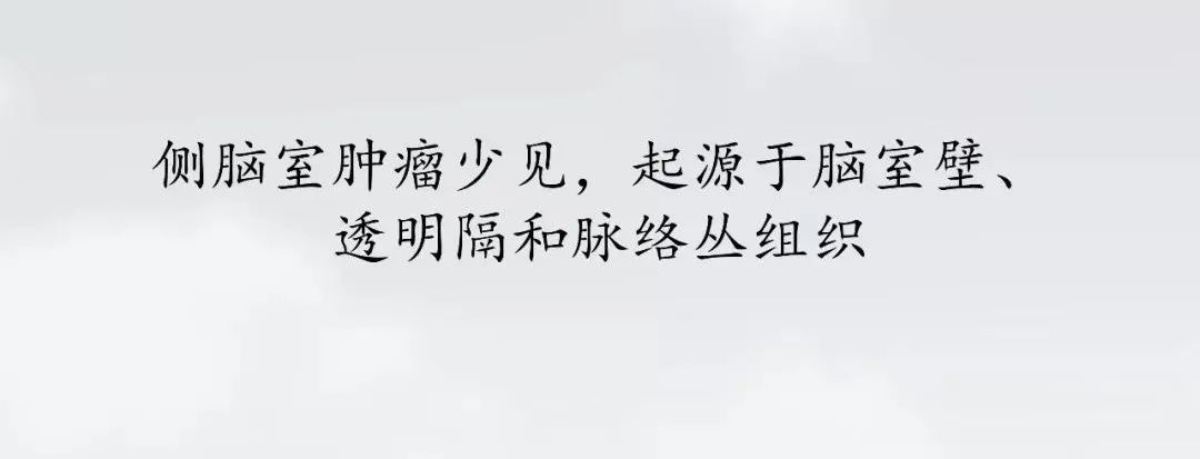 影像PPT - 【PPT】侧脑室肿瘤影像诊断及鉴别诊断-2