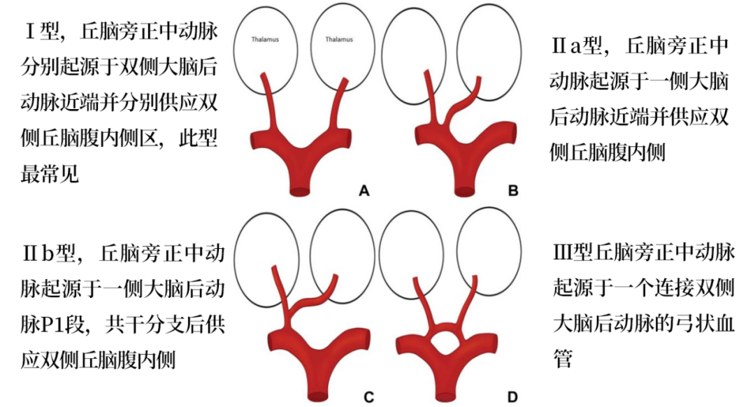 影像PPT - 【病例】双侧丘脑的同时梗死罕见,但是见过一次就不会忘了-7 影像PPT - 【病例】双侧丘脑的同时梗死罕见,但是见过一次就不会忘了-7