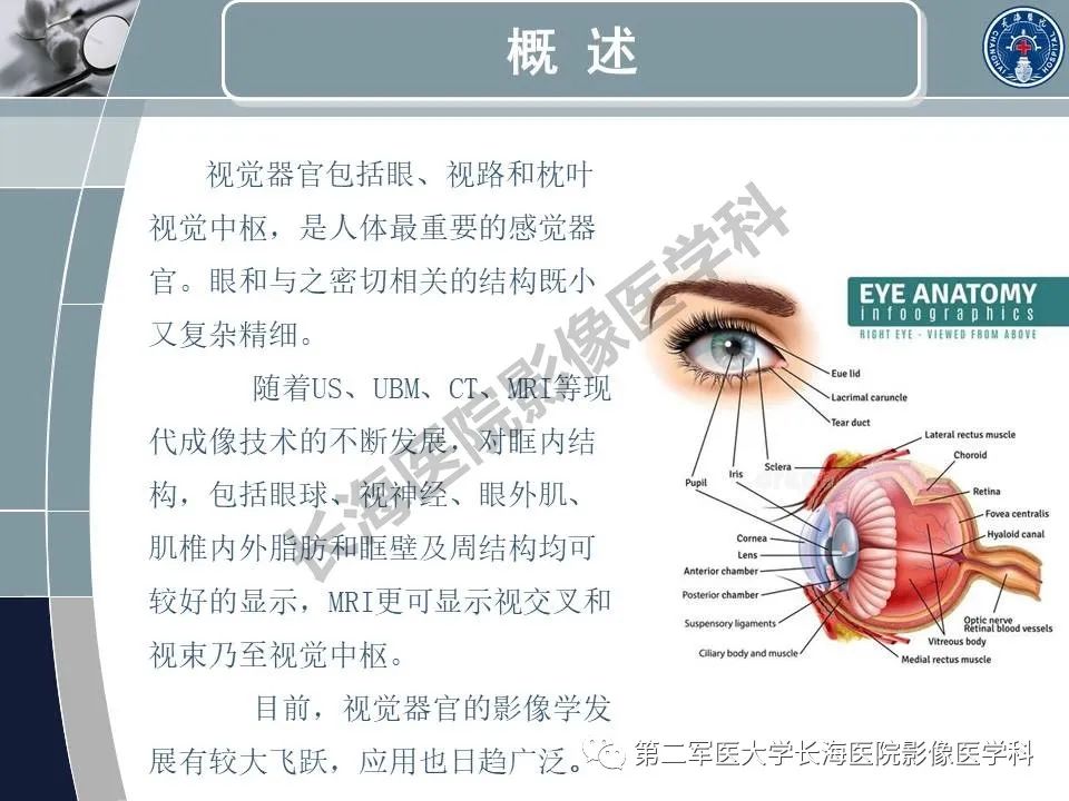 影像PPT - 【PPT】眼眶内肿瘤的影像诊断-2